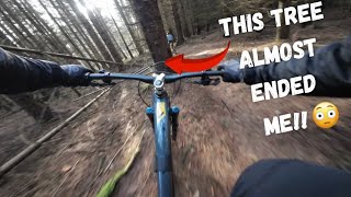 Natural Gold! 👌🏼 - Bennachie Enduro MTB Trails