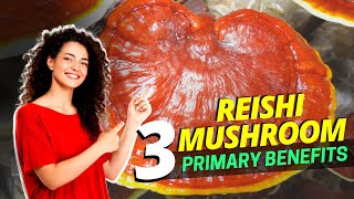 3 Primary Benefits of Reishi Mushroom