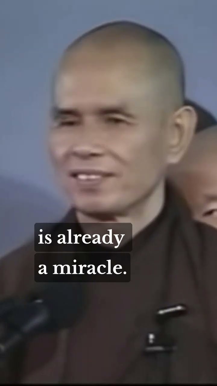 "To be alive is already a miracle"  Thich Nhat Hanh  #shorts #mindfulness
