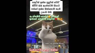 අම්බෝ බං මං බේරුනා.🙆🤗💯එය ගියා🤗💯💪💆🤭🤭👻🥺#viralvideo#funny#india#love#girls#boys