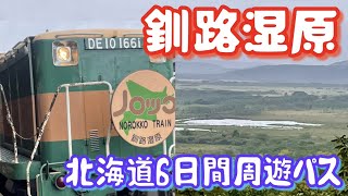 【北海道6日間周遊パス】＜道東編＃4＞  くしろ湿原ノロッコ号 ～雨の湿原～【車なし・女ひとり旅】