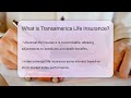 what is transamerica life insurance insuranceguide360.com