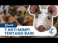 Arti Mimpi Tentang Babi, Apa yang Kamu Kerjakan Akan Menjadi Sia-sia.