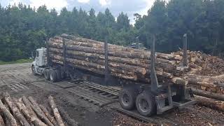 Dirty South logging- back to loading trucks