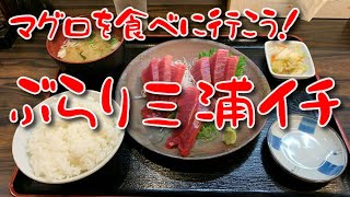 【ロングライド】マグロを食べに行こう！ぶらり三浦イチ