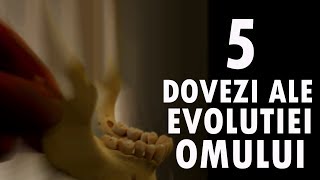 Top 5 Dovezi Ale EVOLUȚIEI Omului