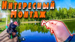 Форель на донку, на Силикон??!! | Стрейч приманки | Jara Baits