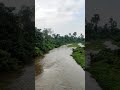 Forest River #assam #nature #travel #rurallifeofassam #assamese #axom #villagelife #village #vlogs