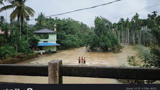 ഇന്ന്‌ വെള്ളം കുറഞ്ഞപ്പോൾ കുട്ടികൾ വെള്ളത്തിൽ ഇറങ്ങി...... കുളിക്കുന്നു 😮