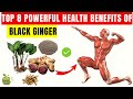 8 Surprising Benefits of Black Ginger: #Thaiginseng Will Change Your Life!