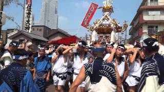 平成２７年度住吉神社例大祭　８月２日　佃住吉講の記録宮神輿　三部町内渡御