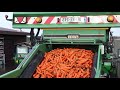 washing french carrots carrot washer cross agricultural engineering