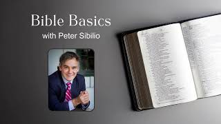 Bible Basics | Pauline Letters | Episode #288