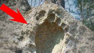 I Found the Foot Mark That Leads to the Treasure !!!