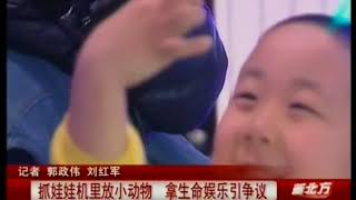 抓娃娃机里放小动物，大人小孩都爱玩，网民说法不一！