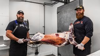 How to Butcher a Deer at Home | The Bearded Butchers