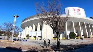 師走の十月桜が満開の長居公園