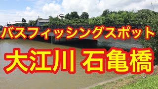 大江川 石亀橋  岐阜県 バス釣りポイント ブラックバス