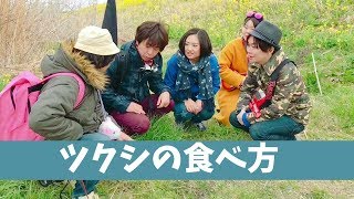 第86回 ツクシの食べ方【野田市】