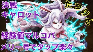 【トレクル】決戦！キャロット！月の獅子！経験値マルコパで組んでみた！