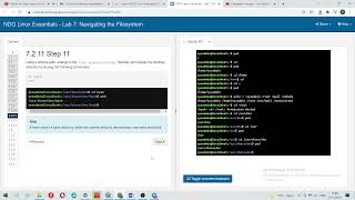 NDG: Linux Essentials: Lab 7
