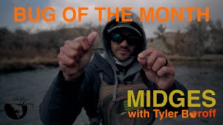 BUG OF THE MONTH - Fishing Midges with Tyler Boroff #flyfishing