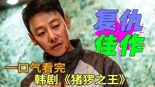 来自二十年后的复仇，金东旭高分悬疑韩剧《猪猡之王》一口气看完