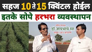 डॉलर आणि देशी हरभरा व्यवस्थापण 2023-24 | डॉ सी पी जायभाये सर | Dnyaneshwar Kharat Patil