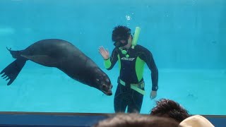 番外編　マリンファンタジー　下田海中水族館