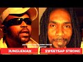 Look What You've Done For Me JUNGLEMAN Featuring SWEETSAP STRONG Jungle Mix - 2024