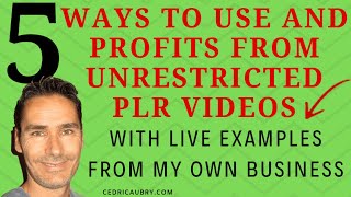 How To Make Money With PLR - 5 Ways To Profits From PLR Videos