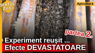 Experiment reusit... efecte DEVASTATOARE -  Partea 2. - Sfatul Zilei