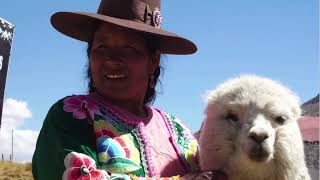 Little Big Book  Nazca Lines Through Native Eyes