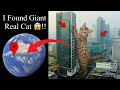 I Found Giant a Very Cat on Google Maps and Google Earth in Real Life #map #earth #universala2z