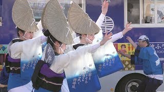 午後1時の阿波踊り Awa odori「新粋連」阿波ふうどフェアinオーケー川越店 （2019.1.20）