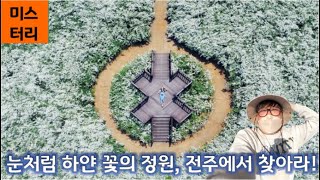 미스터 Lee의 사진 한 컷: 328번째 미션! 전주에 출몰한 미스터 Lee!  [2TV 생생정보] | KBS 220503 방송