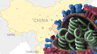 Nurse In China's Hubei Province Explains Coronavirus