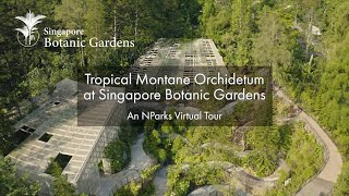 Tropical Montane Orchidetum at Singapore Botanic Gardens | An NParks Virtual Tour
