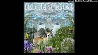 14-Mantric Mambo-Unfolding Mystery (Ambika)