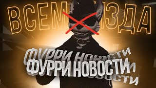 ФУРРИ НОВОСТИ 2 МЕХ НА АСФАЛЬТЕ 🐺