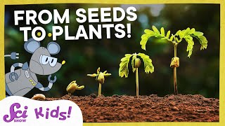 Watch a Seed Sprout! | Squeaks Grows a Garden! | SciShow Kids