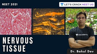 Nervous Tissue | NEET Biology | NEET 2021 | Dr. Bakul Dev