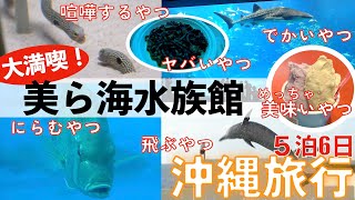 2022年【５泊６日沖縄旅行】沖縄初心者なのでここも外さない！＃美ら海水族館 ＃沖縄vlog