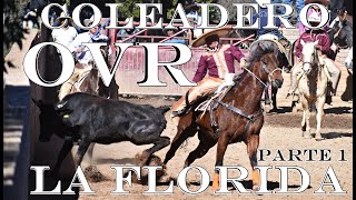 Coleadero en La Florida 2020 - 1 er Parte - 05-01-2020