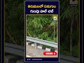 తిరుమలలో ఏనుగుల గుంపు హల్ చల్ elephants hulchul in tirumala swatantra telugu news