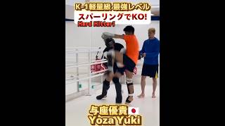 【K-1軽量級 最強レベル】与座優貴🇯🇵スパーリングでKO!!! Yoza Yuki 16-2