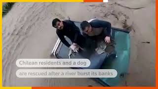 Residents, dog rescued from sinking van in Chile