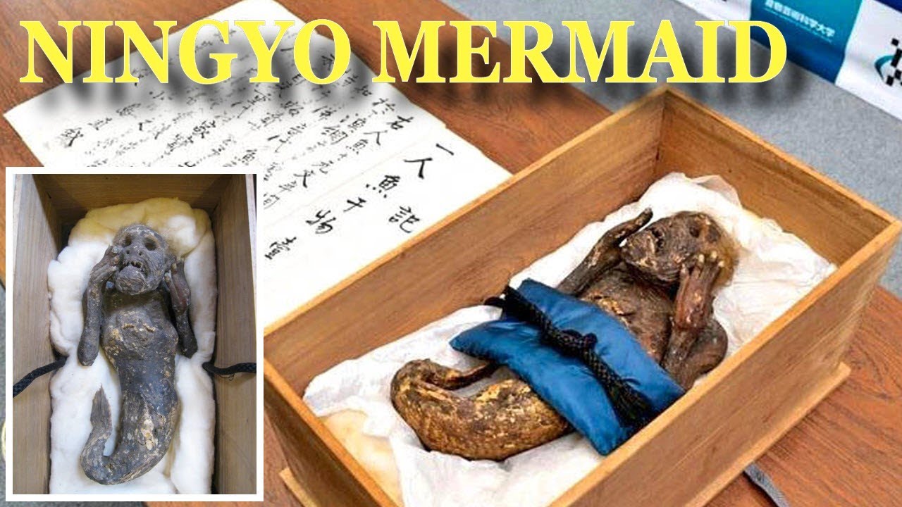 300 Y.o Mummified Japanese ‘Mermaid’ Mystery To Be Unravel By ...