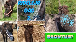 RIDELEJR DEL 3.   {TREDJE \u0026 SIDSTE DAG} - Vi rider en LANG tur i skoven #gopro