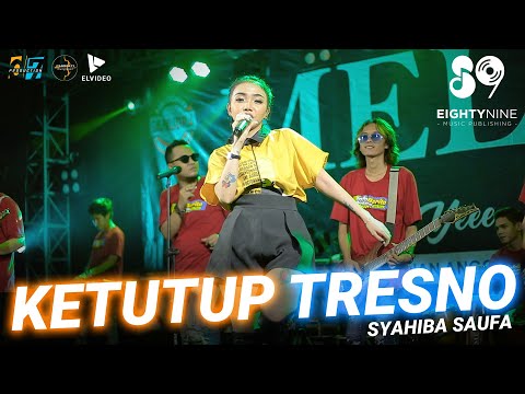 Download Lagu Syahiba Saufa Ketutup Tresno Mp3